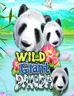 พบประสบการณ์สุดมันส์กับการดาว โหลด joker8899